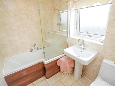 Picture 20